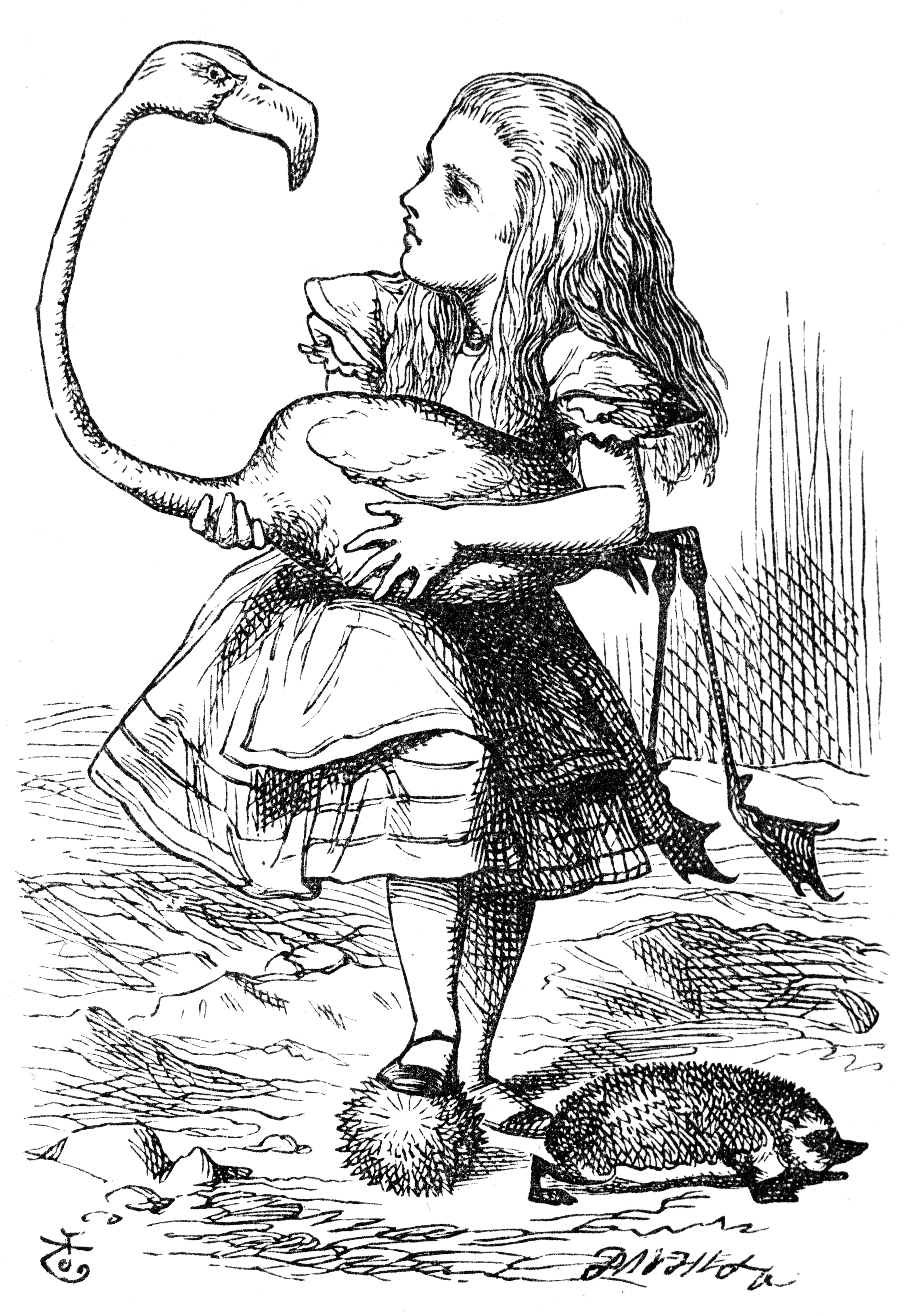 Alice with flamingo